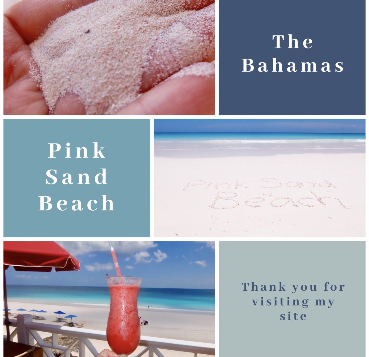バハマ ピンクサンドビーチ 世界を旅する食いしん坊フラワーデザイナー